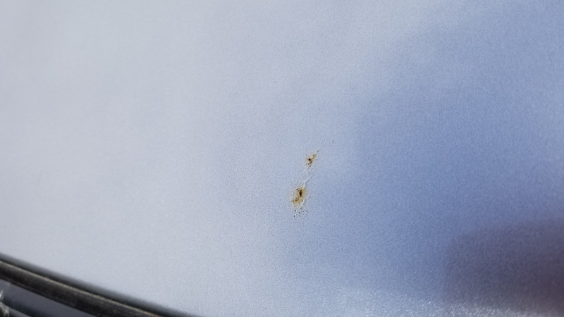 There are a few spots on the roof like this.